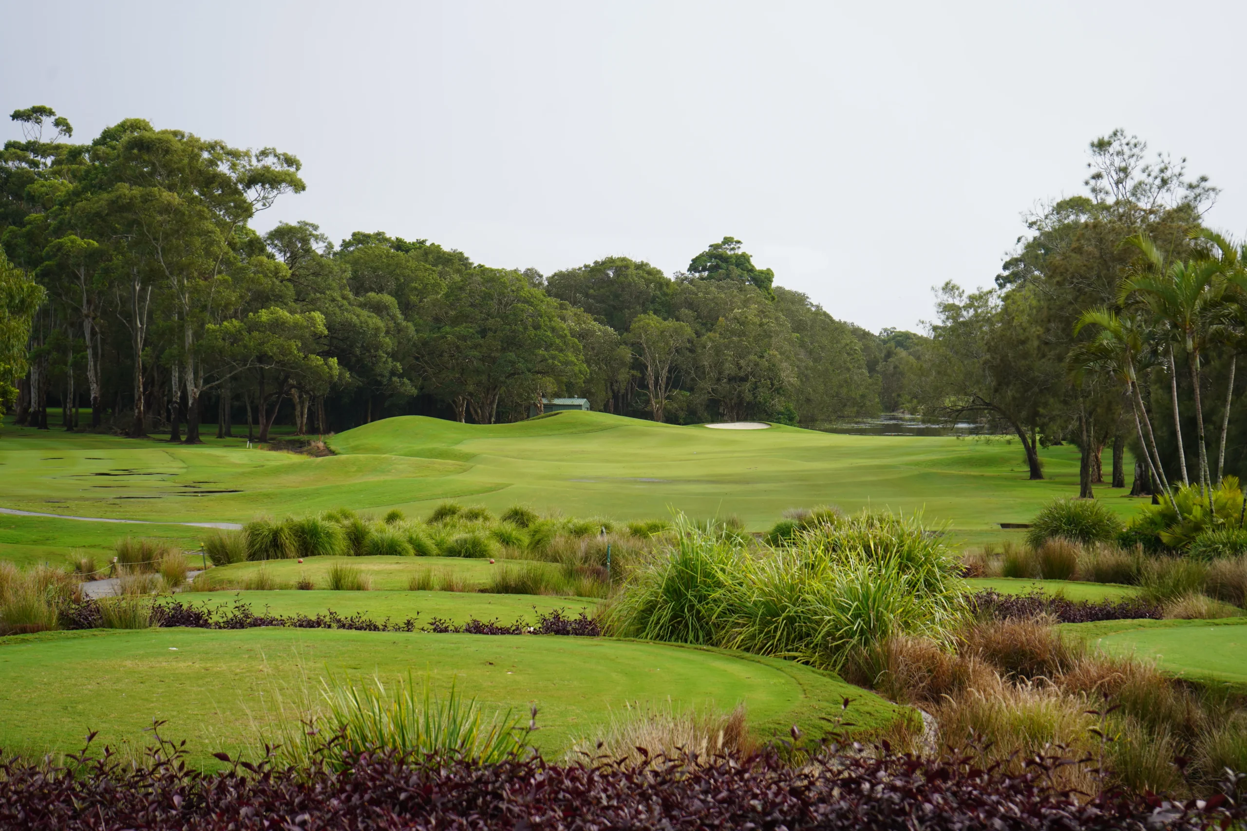 The Pure Golfer - Australia Golf Tour - Byron Bay