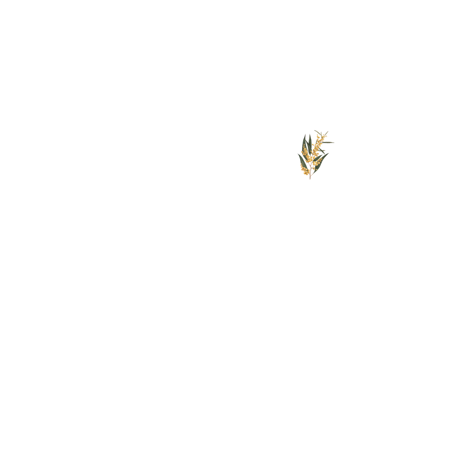 The Pure Golfer