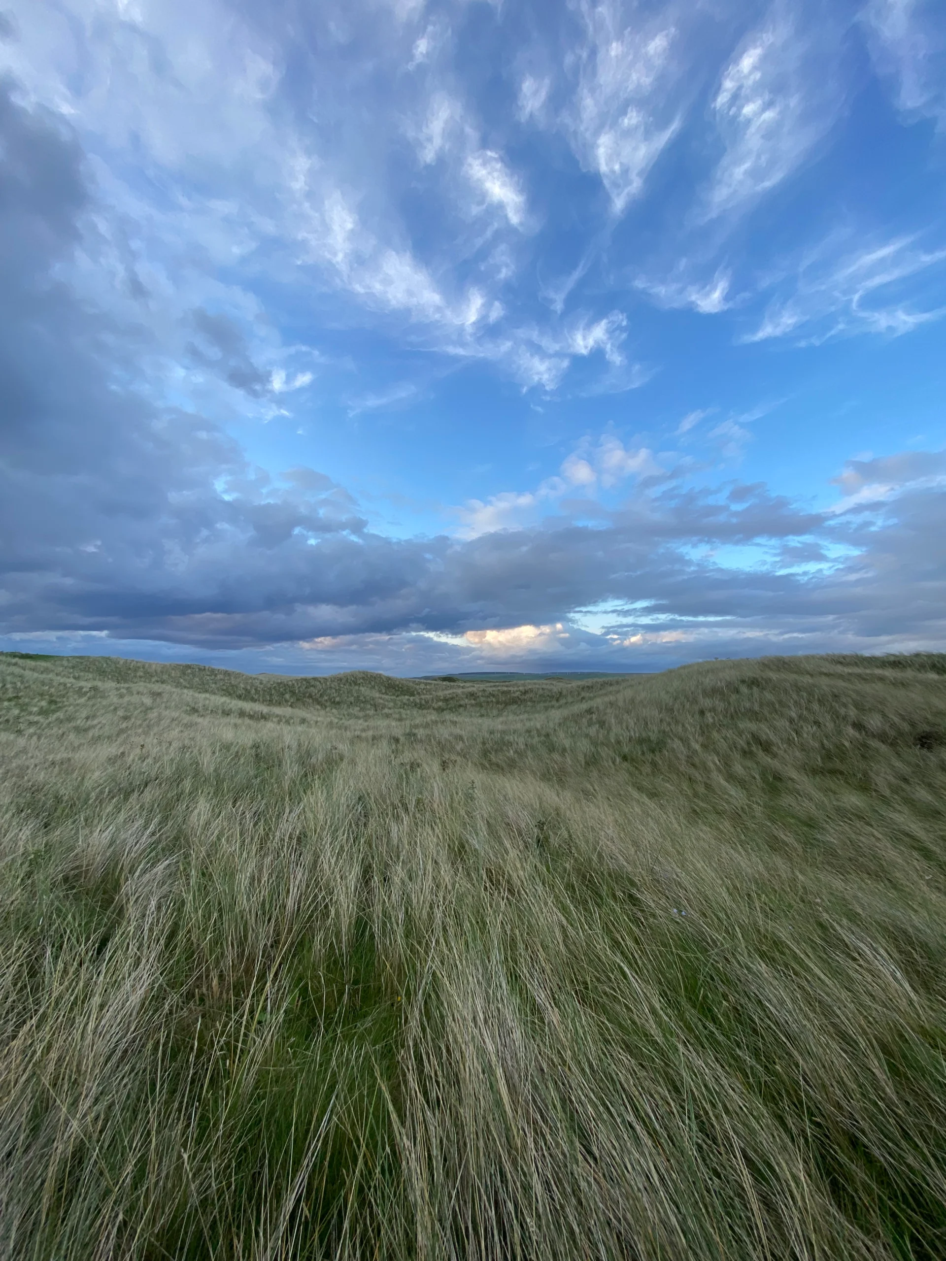 The Pure Golfer - Machrihanish Scotland