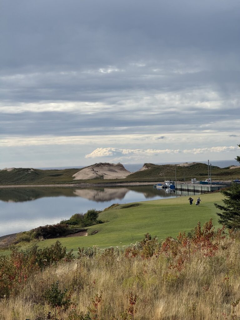 Cabot Links