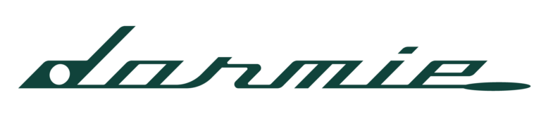 DORMIE Workshop Logo